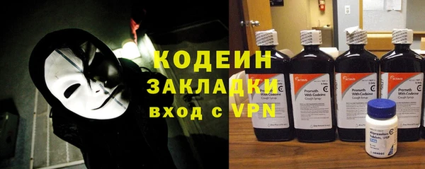 стаф Козловка