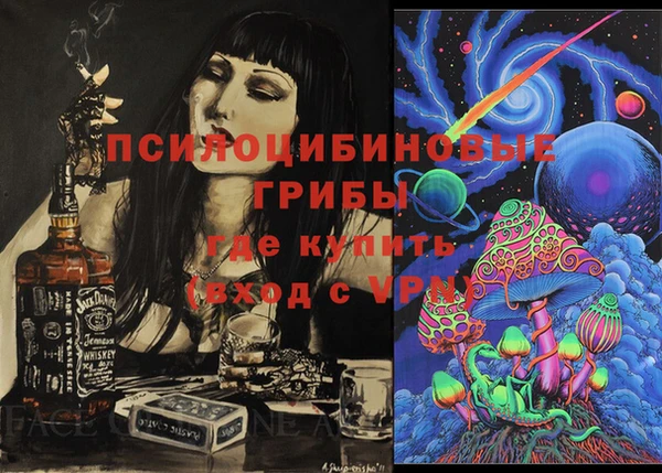 mdpv Козельск