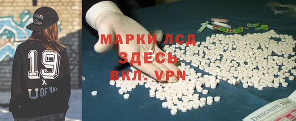 стаф Козловка