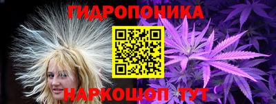 гидра Можга