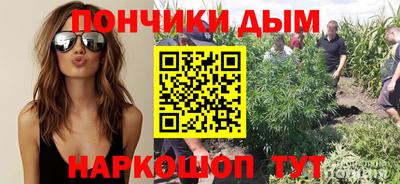 Альфа ПВП Моздок
