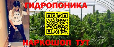 Альфа ПВП Моздок