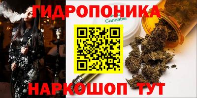 Альфа ПВП Моздок