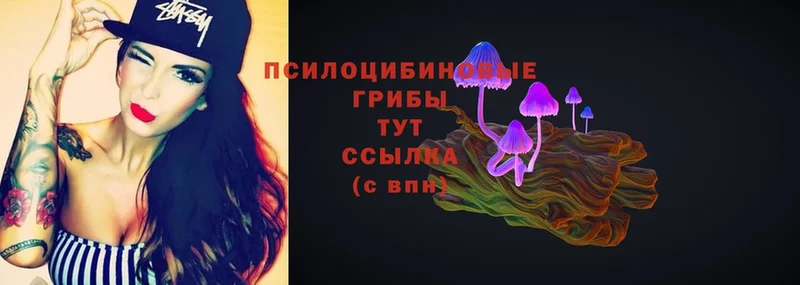 omg как зайти  Октябрьский  Псилоцибиновые грибы Cubensis  дарнет шоп 